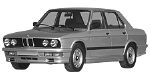 BMW E28 P224A Fault Code